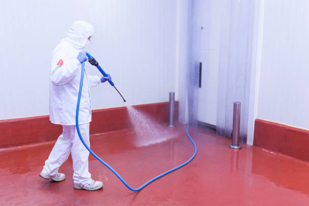 Best Solar Panel Cleaning  in Linntown, PA